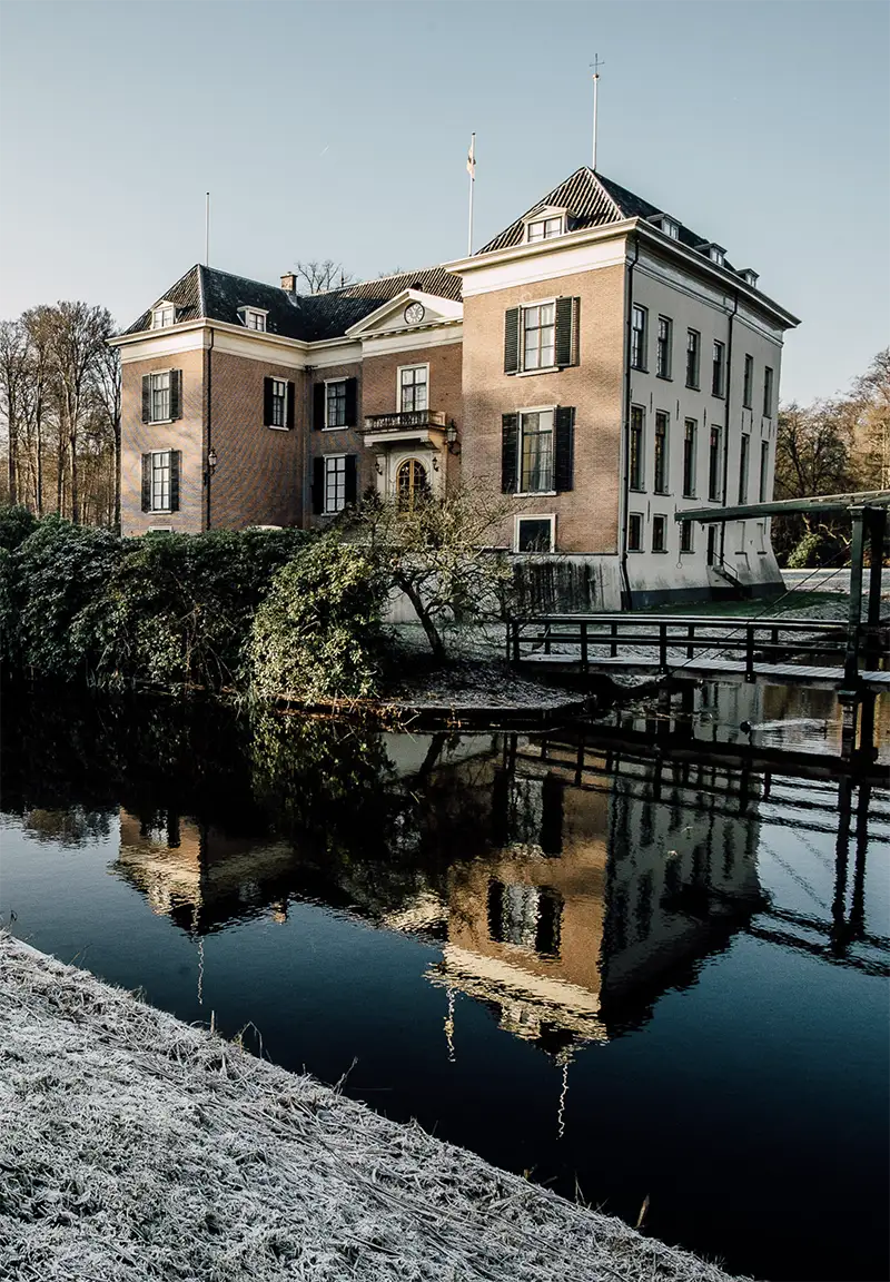 Huisdoorn mobiel afbeelding